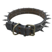 DogCollar DogCollar