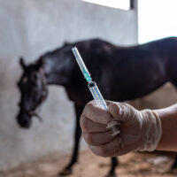 VetShot VetShot
