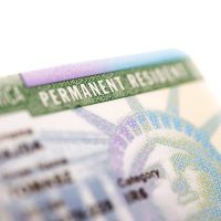 GreenCard3 GreenCard3