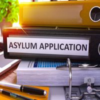 Asylum Asylum