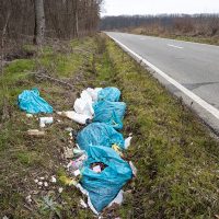 Litter Litter